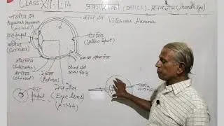 प्रकाशिकी_आंख और दोष(Eye and their defect s) |L-15 |Class 12 th |By RB Singh