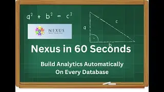 Nexus 60-Second Video - Nexus Creates Analytics on All Databases