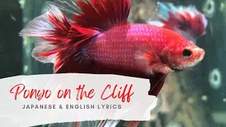 Ponyo on the Cliff by the Sea (Gake no Ue no Ponyo) Music & Lyrics
