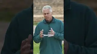 Grass vs Broadleaf Weeds