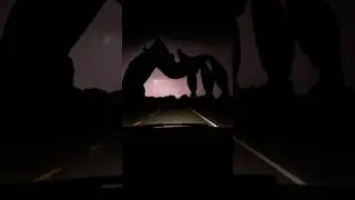 Cruisin’ through the Upside Down 