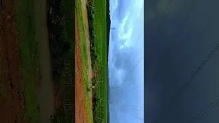 Monsoon ❤ #ytshorts #youtube #monsoon #nature #roadtrip #explore #green #western
