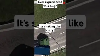 ETS2 truck cockpit bug🚛