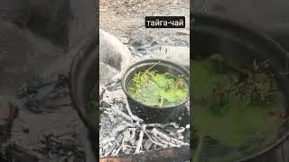 кончилась заварка - смородины лист, курильский чай, маралий корень, чабрец и жимолость