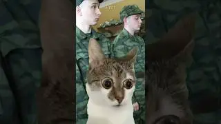 А ты бы как ответил?🤔 Пародия на @Danya_rodnoy 