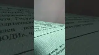Гайд, как участвовать в выборах!