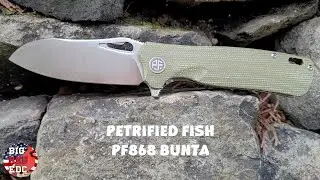 Petrified Fish PF868 Bunta l Under $35 l Full Review l Solid Budget Knife