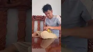 CRUSH FACTZ YT p510  😱🐕🤯 #shorts, #ytshorts #shortsvideo
