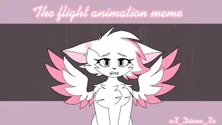 The flight animation meme (Why love me?)