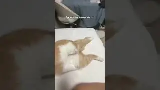 Когда очень сильно заработался:)