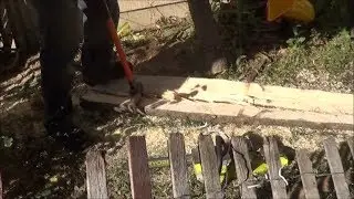 Gathering Lumber for the Chicken Run