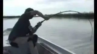 rodl cat fish