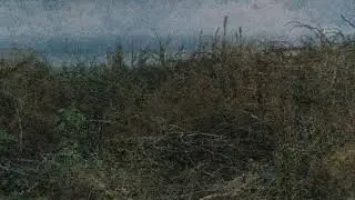 Nortas - Paviršiai