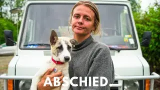 Unsere letzte Fahrt mit Millie - Vom Straßenwelpen, in ein schönes zu Hause.