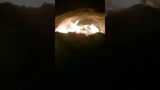 первый запуск топки