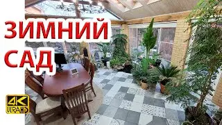 Winter garden, greenhouse arrangement, ideas, plants