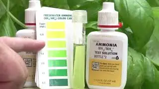 Aquaponics: From Home to Commercial Systems