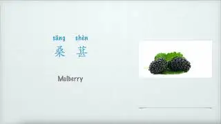 桑葚英文怎么说，水果Fruit：Mulberry