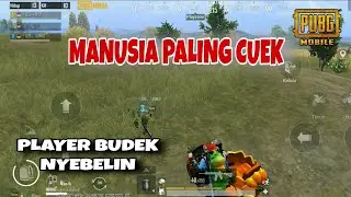 Player Budek, Cuek - PUBG MOBILE