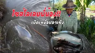 ปลาบู่ไซส์โล!! ปลาตองกราย เบ็ดเหยื่อปลาเข็ง หมาอยู่พี่น้องมื้อนี้