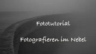 Fotografieren im Nebel - Tipps für schlechtes Wetter