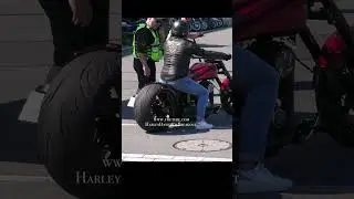 #shorts #short #shortvideo #shortsvideo #shortsfeed #custom #shortsyoutube #harleydavidson #harley