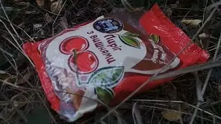 Дружба