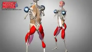 Overhead squat assessment, functional training and more.