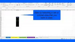 Format Painter in Excel