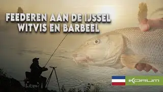 FEEDEREN AAN DE IJSSEL - WITVIS EN BARBEEL #korum #barbeel