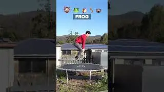 If animals glitched IRL 😂 pt 3