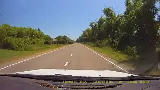 Охота сокола на дороге