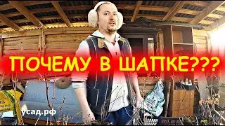 КАНАЛ СКАТИЛСЯ, РАНЬШЕ БЫЛО ЛУЧШЕ! РЕКЛАМЫ НЕТ, НАДОЕЛА РЕКЛАМА (PIZ*ёЖ)