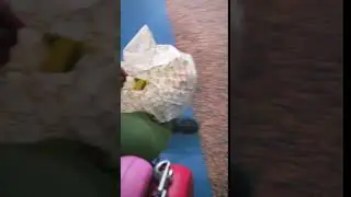 Седокова домохозяйка. Новый любовник - тиран!=?