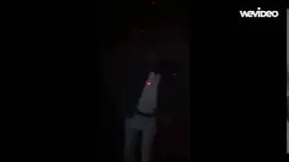 louli's video