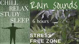RELEASE THE STRESS, EMOTIONAL BLOCKAGES, ANXIETY, INSOMNIA WITH 6HRS OF RAIN SOUNDS