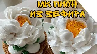 Мк ПИОН ИЗ ЗЕФИРА 😍