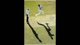 Dale Steyn Bowling action #cricket #shorts