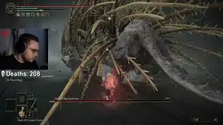 Elden Ring DLC | ohne vs Golden Hippopotamus