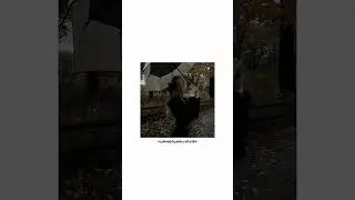 photo pose ideas pt. 5 🦫🍂 | 