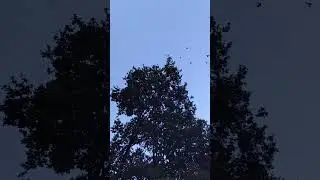 Молодёжь начинает подтягивать.