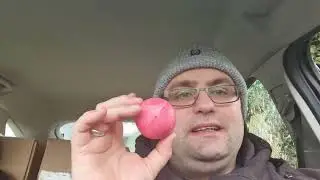 A red nose With a difference And a chance to win £20 pound Amazon Gift card