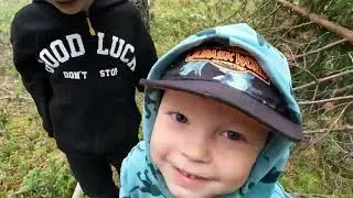 Поход за грибами.