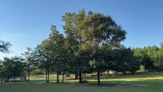Dove Field Prep for 2024 Season-Alabama