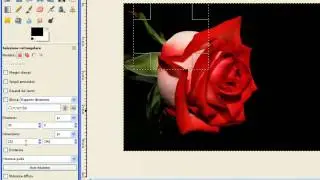 GIMP #10 [ITA] - Come funzionano le selezioni