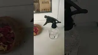 11 мая 2024 г.