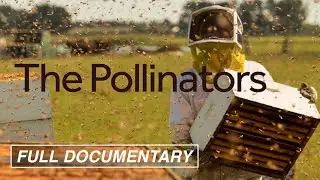 The Pollinators (FULL MOVIE) Bees, Food Supply, Environment | Award-Winning Documentary