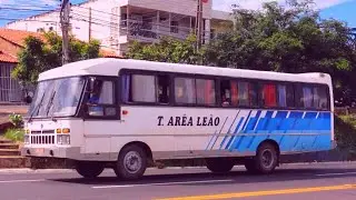 Arêa Leão Turismo