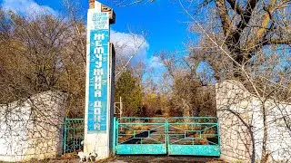 Жемчужина Дона  10.11.2023. Большой обзор.