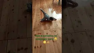 Сальто на мокром полу 